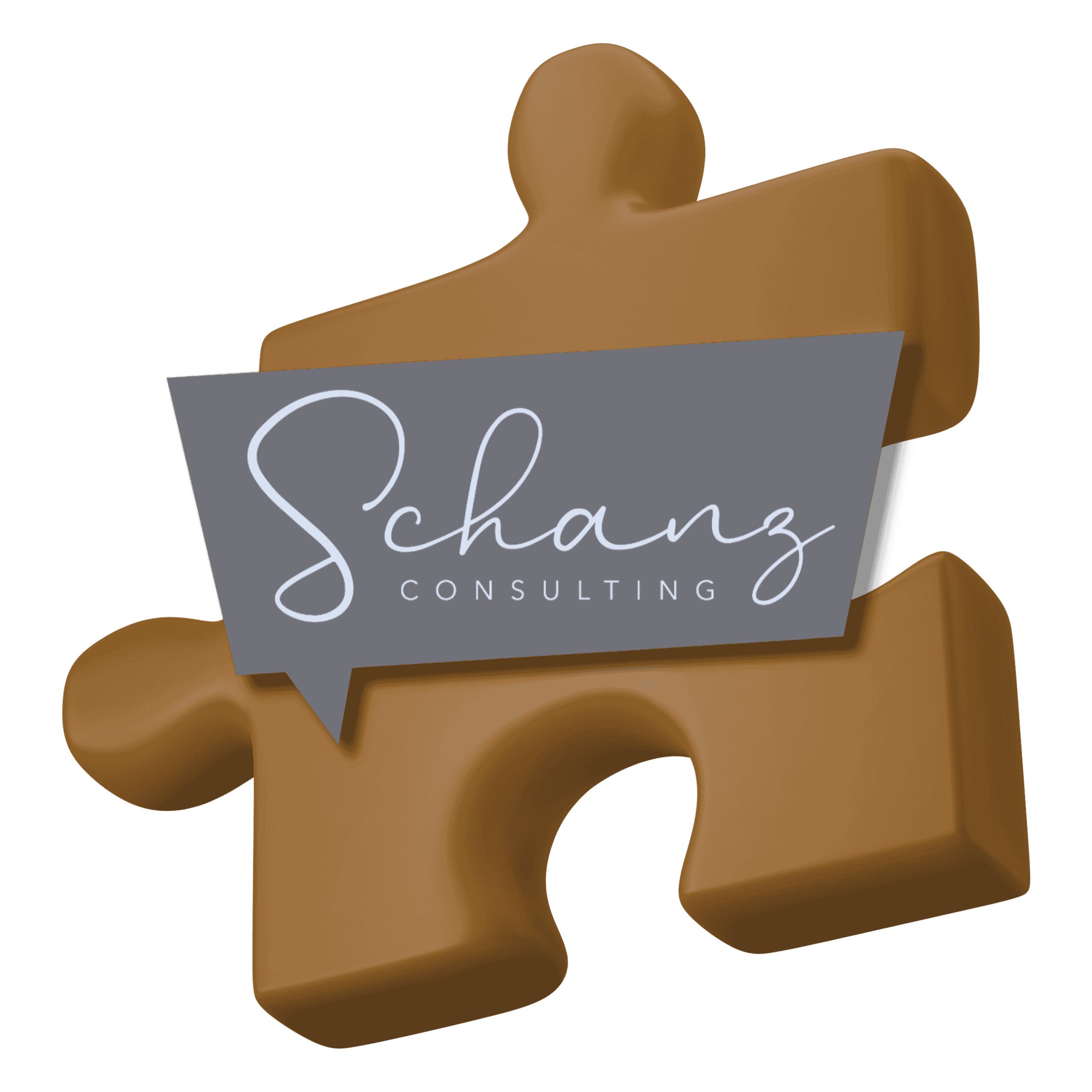Braunes 3D Puzzleteil mit Logo Schanz Consulting